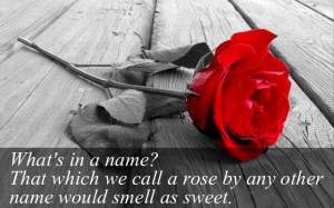 whats-in-a-name-that-which-we-call-a-rose-by-any-other-name-would-smell-as-sweet-love-quote